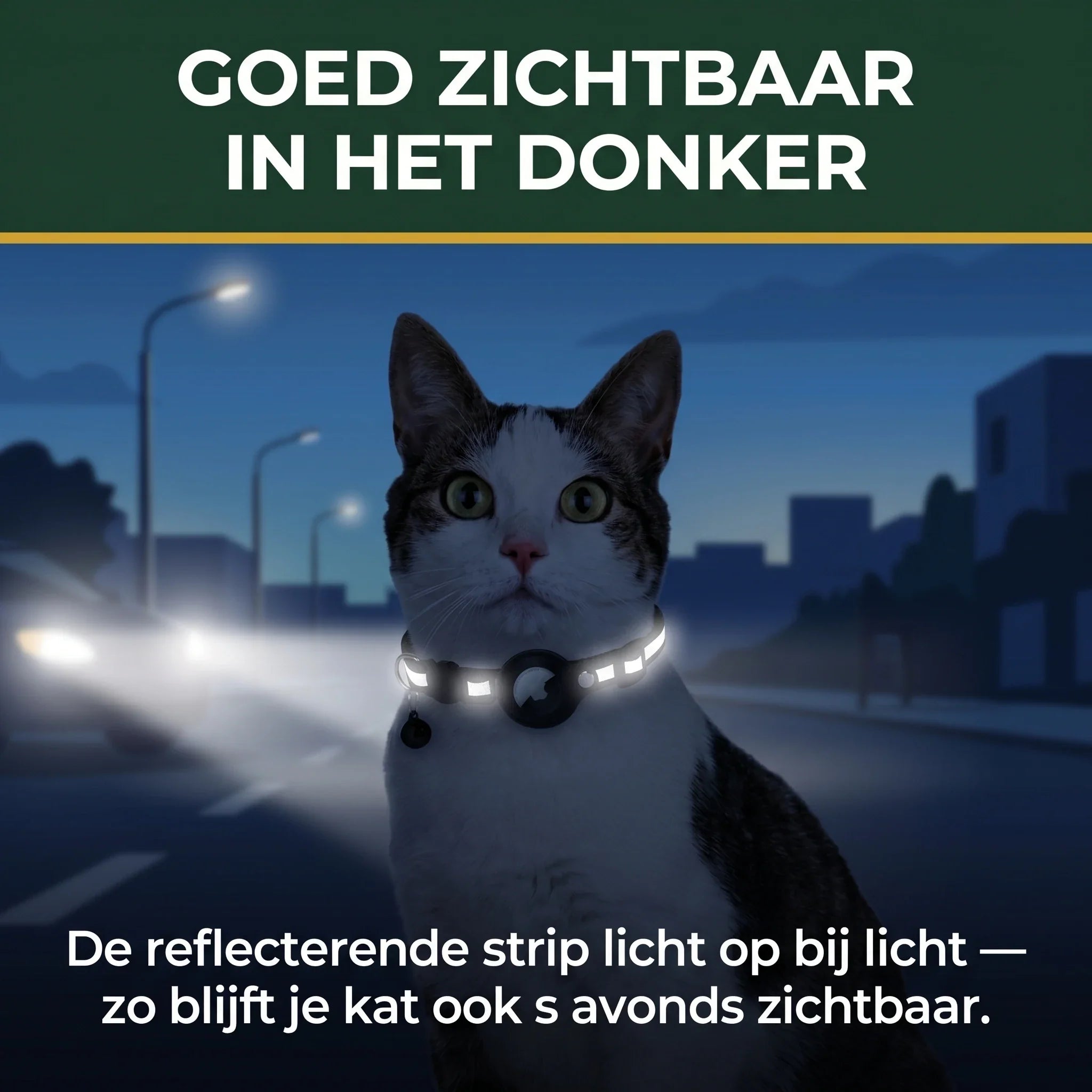 Reflecterende strip — je kat blijft zichtbaar in het donker