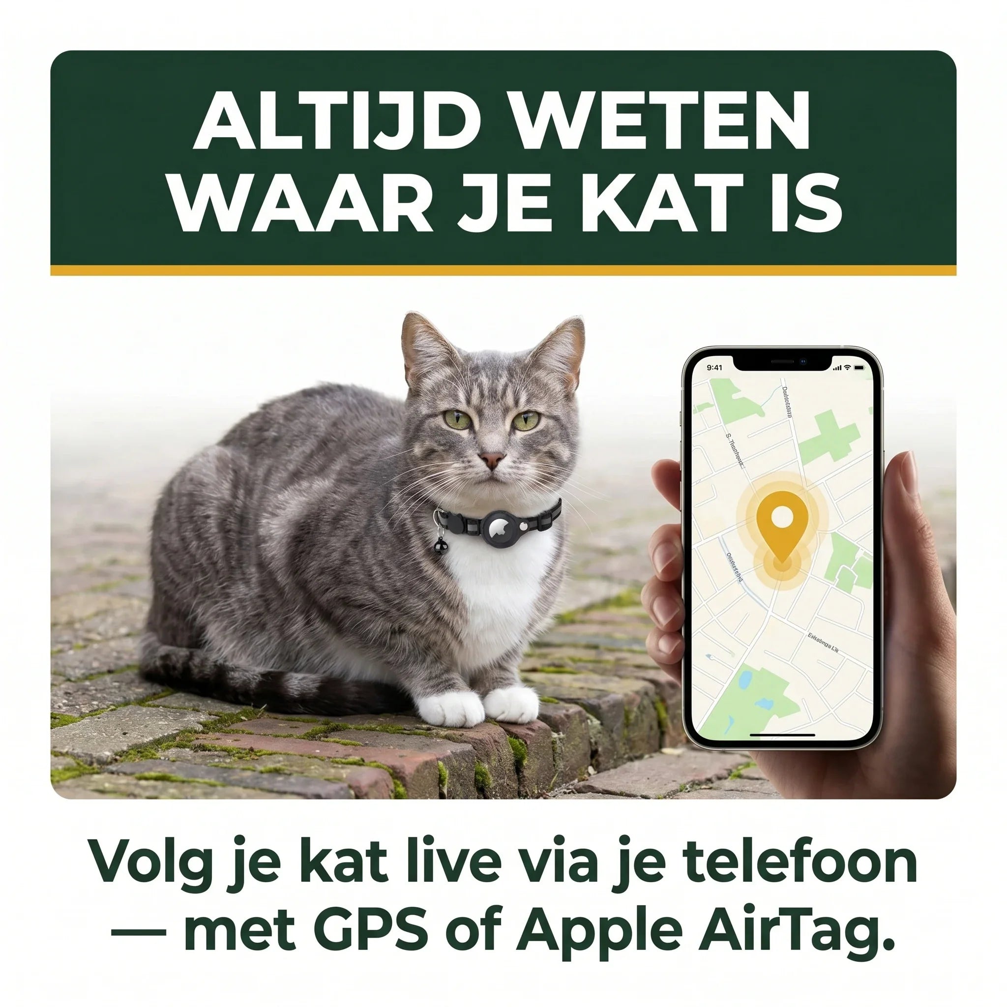 Volg je kat live via je telefoon met GPS of Apple AirTag