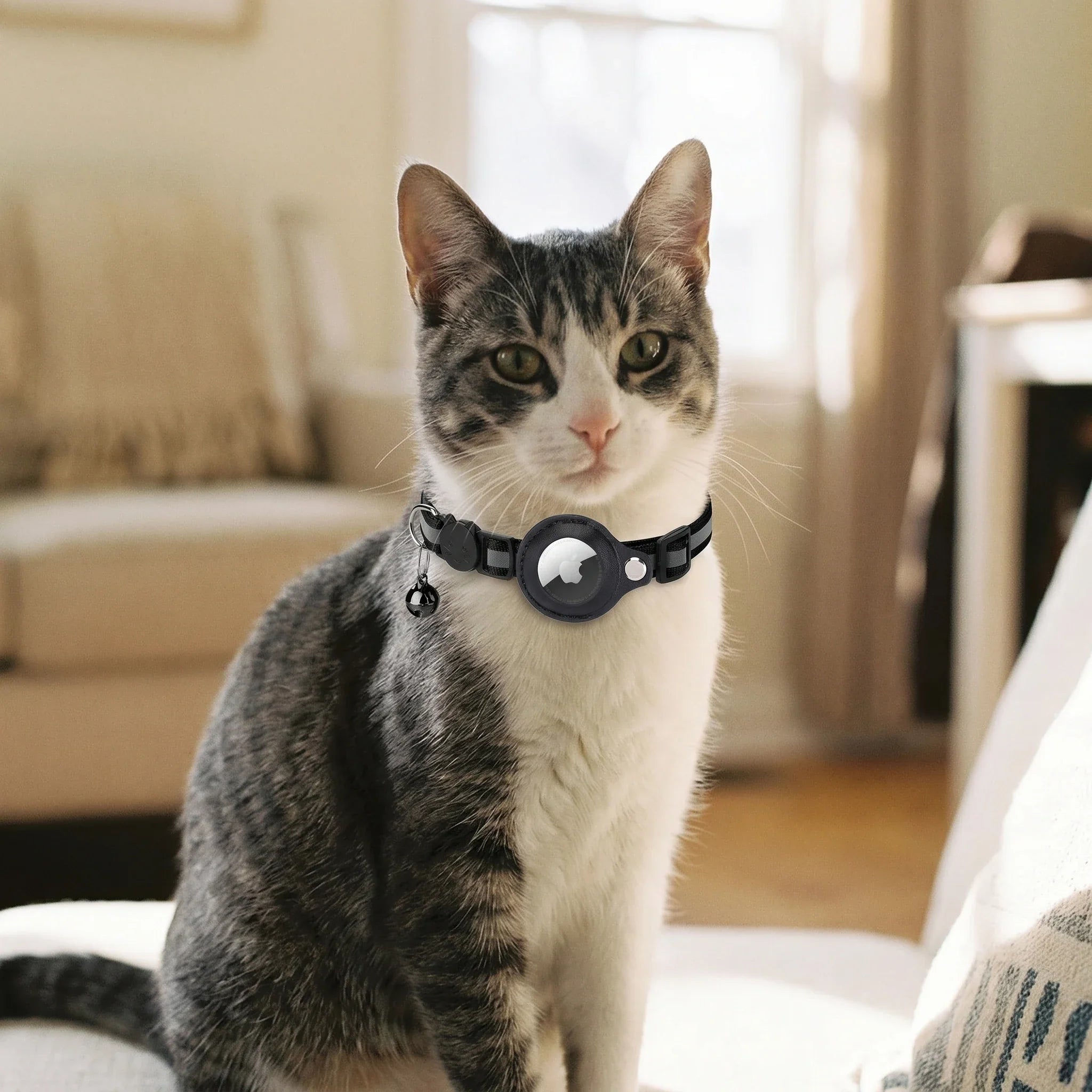 Kat draagt de TrackTail GPS-halsband met AirTag-houder — binnen